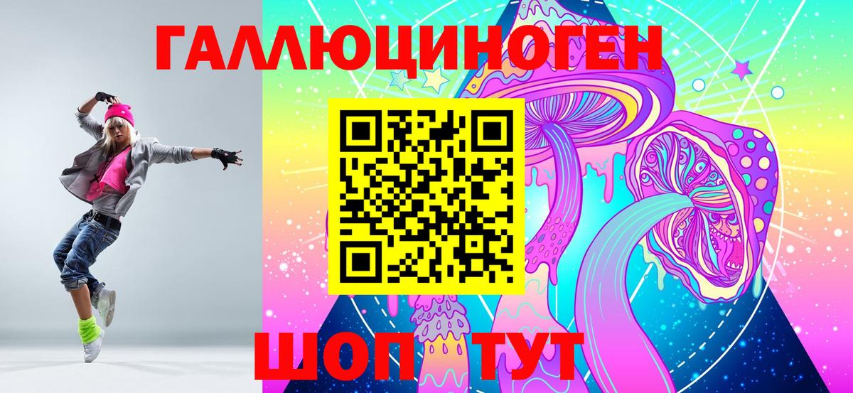 Псилоцибиновые грибы Cubensis Черняховск