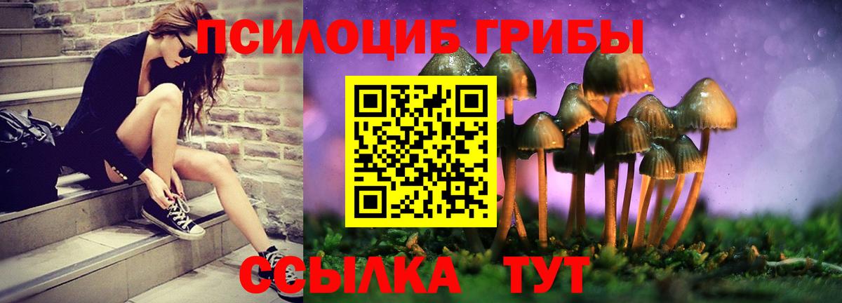 Галлюциногенные грибы прущие грибы  Галлюциногенные грибы MAGIC MUSHROOMS  Черняховск  Вход с VPN 